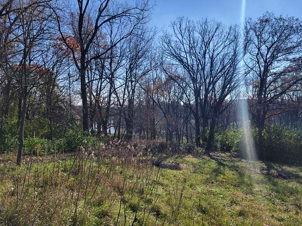 0.39 Acres of Land for Sale in Apple River, Illinois