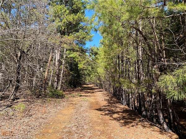 11.3 Acres of Recreational Land for Sale in Hartford, Arkansas