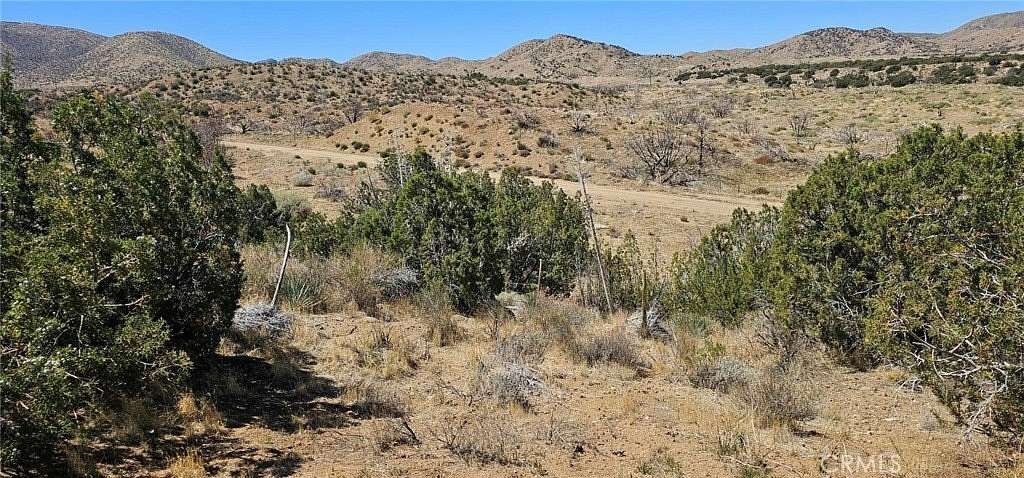 80.6 Acres of Agricultural Land for Sale in Juniper Hills, California