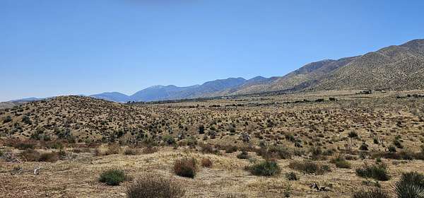 80 Acres of Land for Sale in Juniper Hills, California