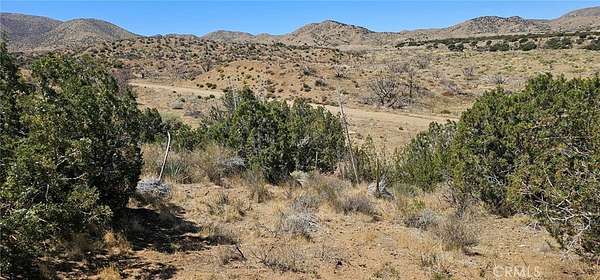 80.6 Acres of Agricultural Land for Sale in Juniper Hills, California