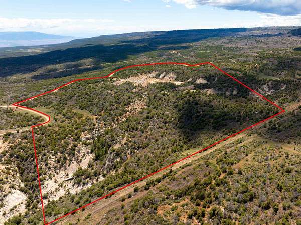 105 Acres of Land for Sale in Glade Park, Colorado
