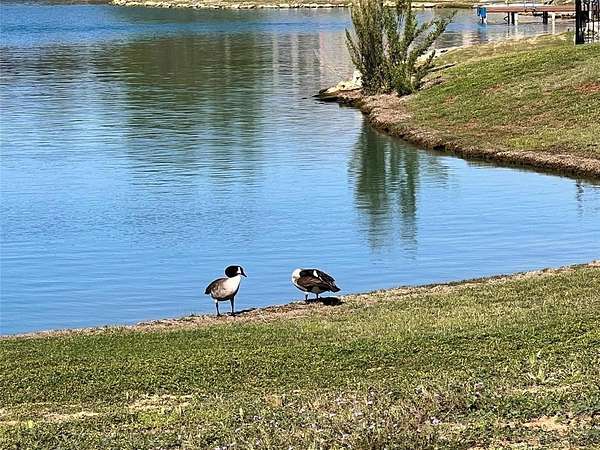 0.41 Acres of Residential Land for Sale in Granbury, Texas