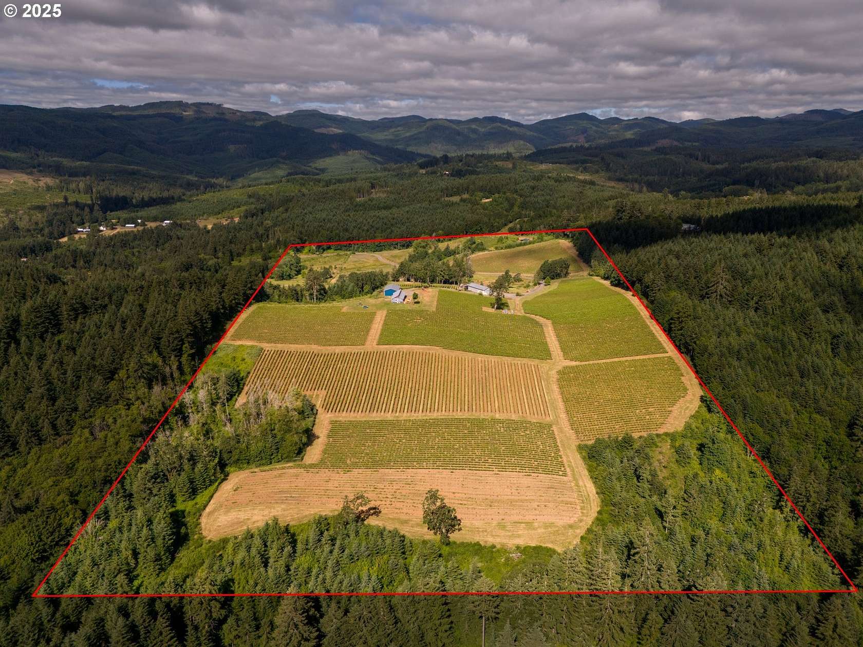 62 Acres of Agricultural Land with Home for Sale in Carlton, Oregon