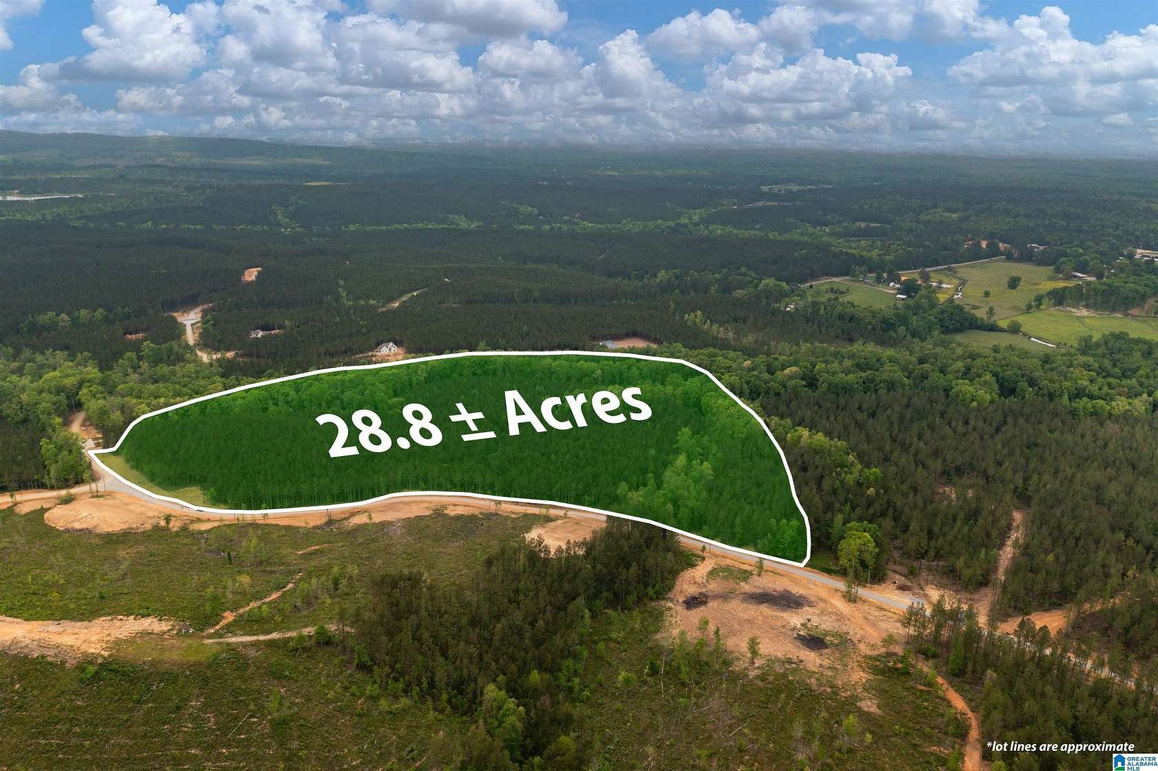 28.8 Acres of Land for Sale in Columbiana, Alabama