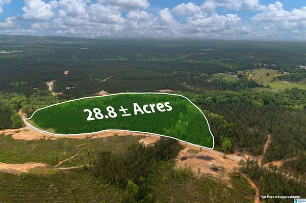 28.8 Acres of Land for Sale in Columbiana, Alabama