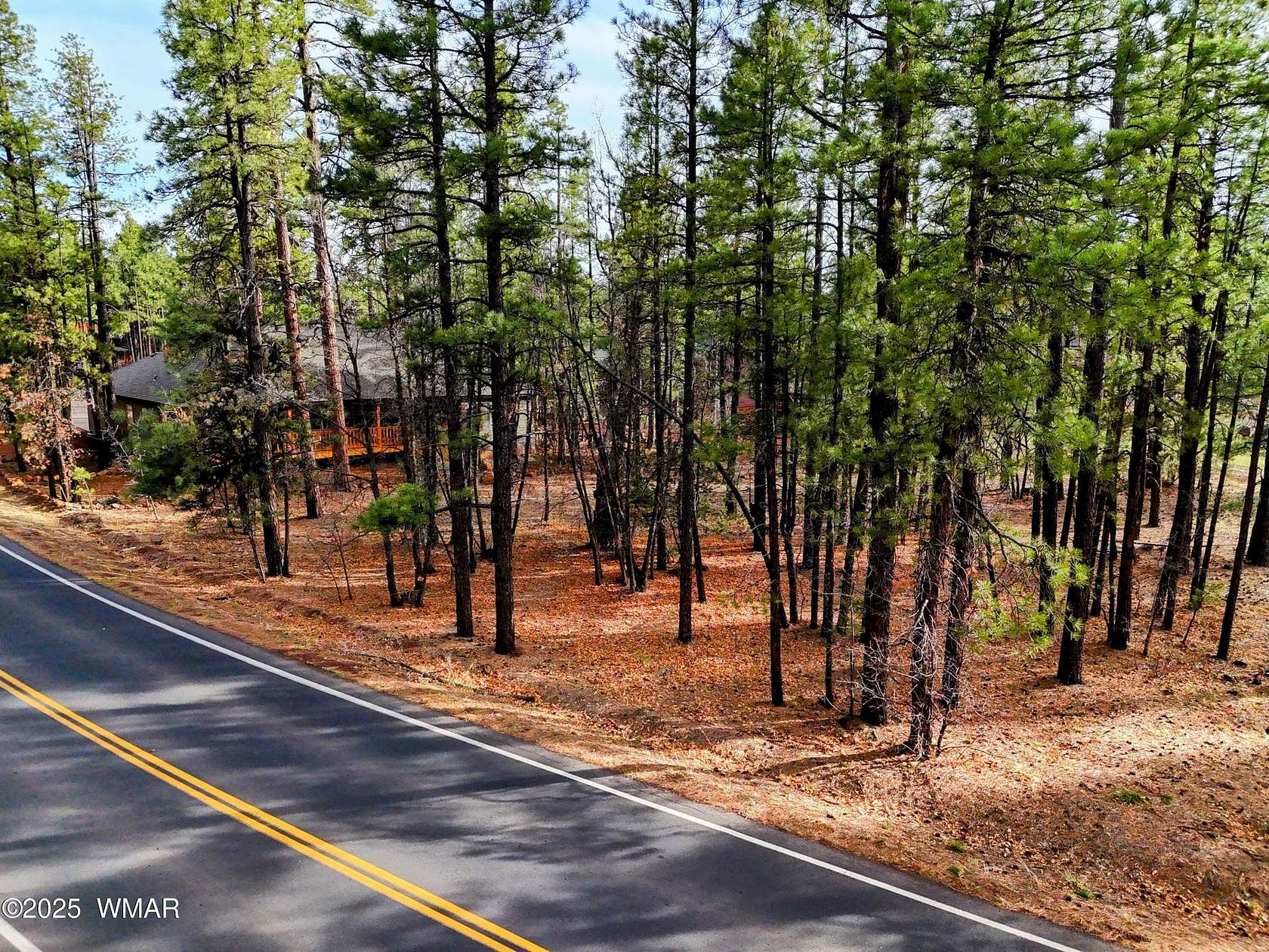 0.66 Acres of Mixed-Use Land for Sale in Pinetop, Arizona