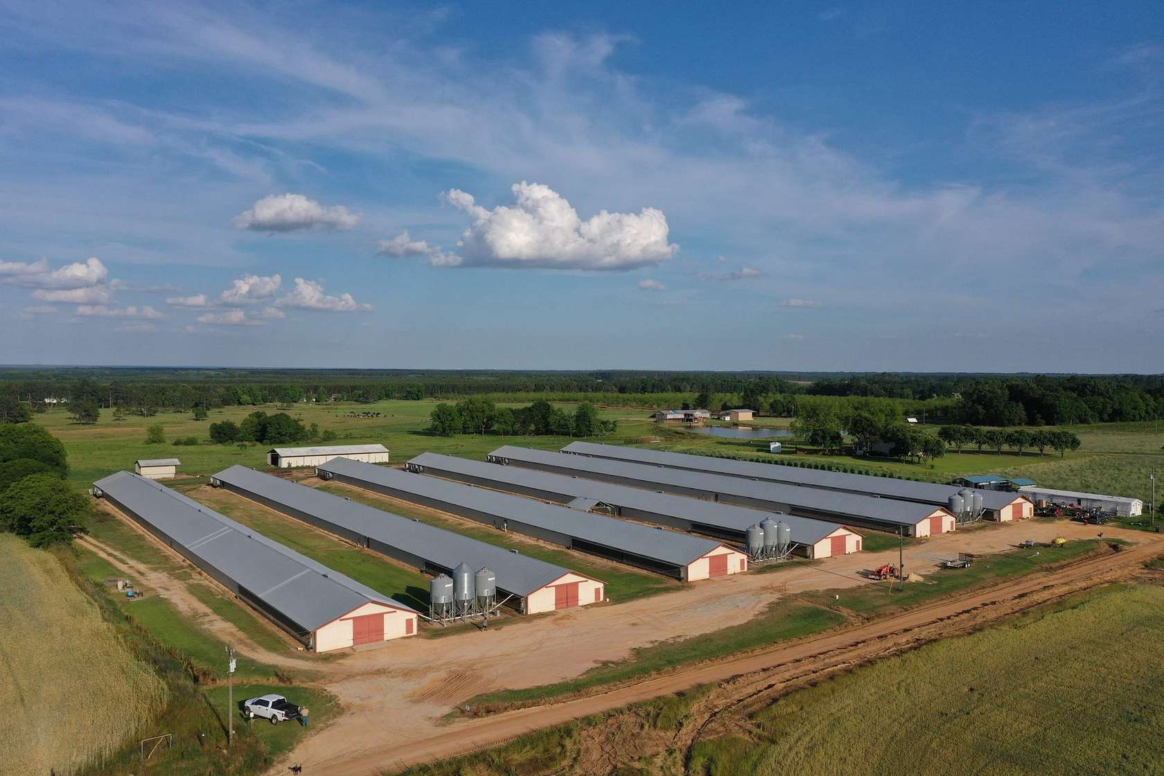 19.7 Acres of Agricultural Land for Sale in Abbeville, Georgia