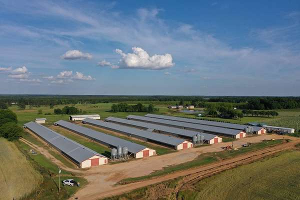 19.7 Acres of Agricultural Land for Sale in Abbeville, Georgia