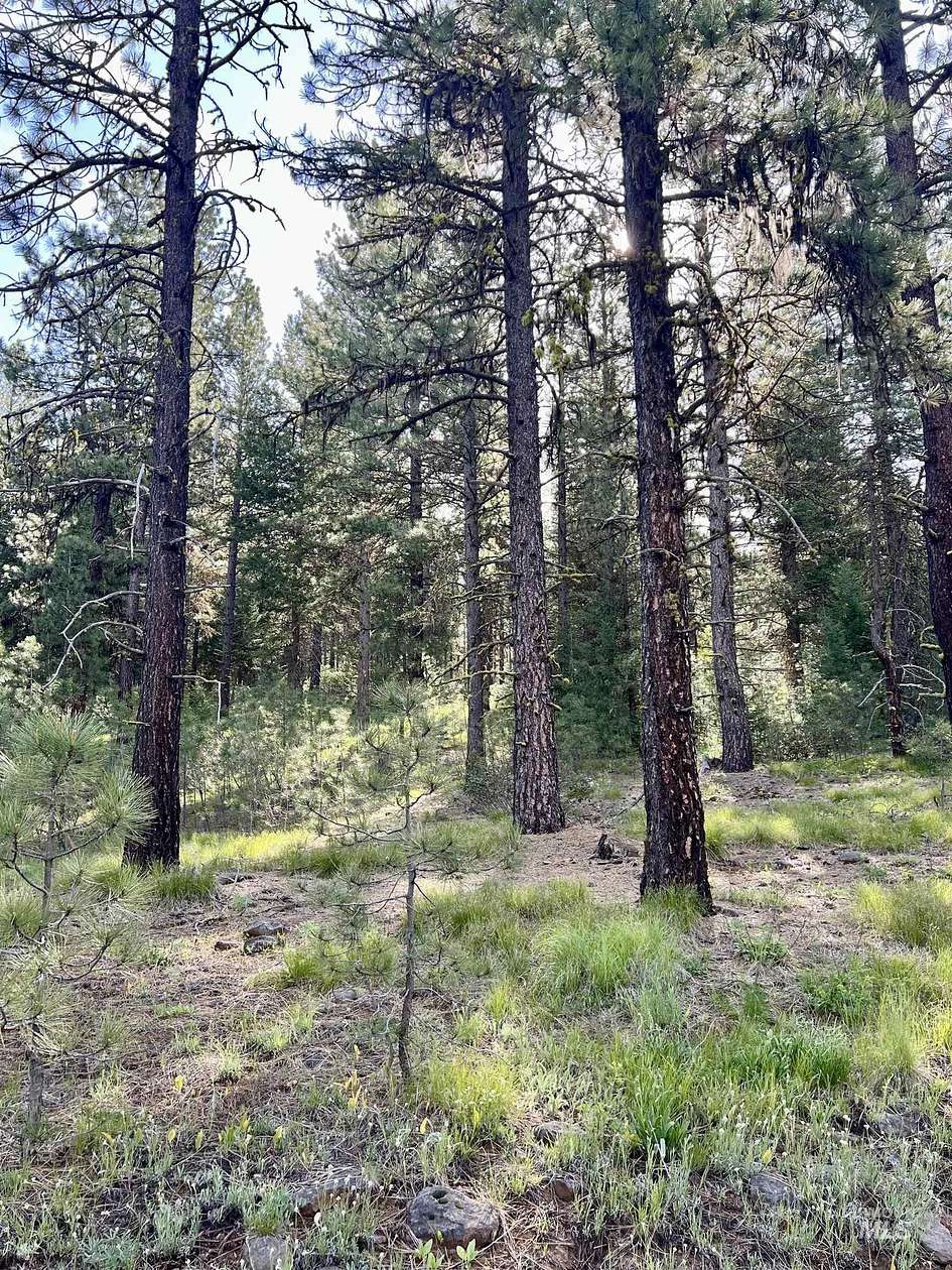 6 Acres of Land for Sale in New Meadows, Idaho