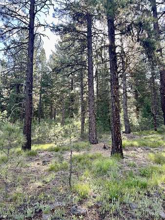 6 Acres of Land for Sale in New Meadows, Idaho