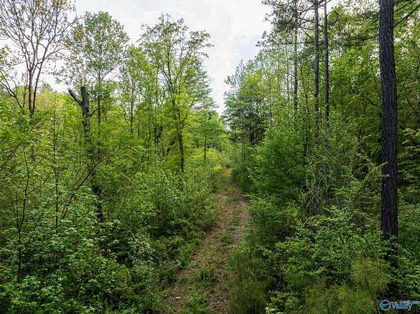 9.6 Acres of Land for Sale in Horton, Alabama