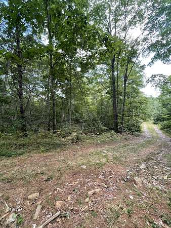 1 Acre of Land for Sale in Bremen, Maine