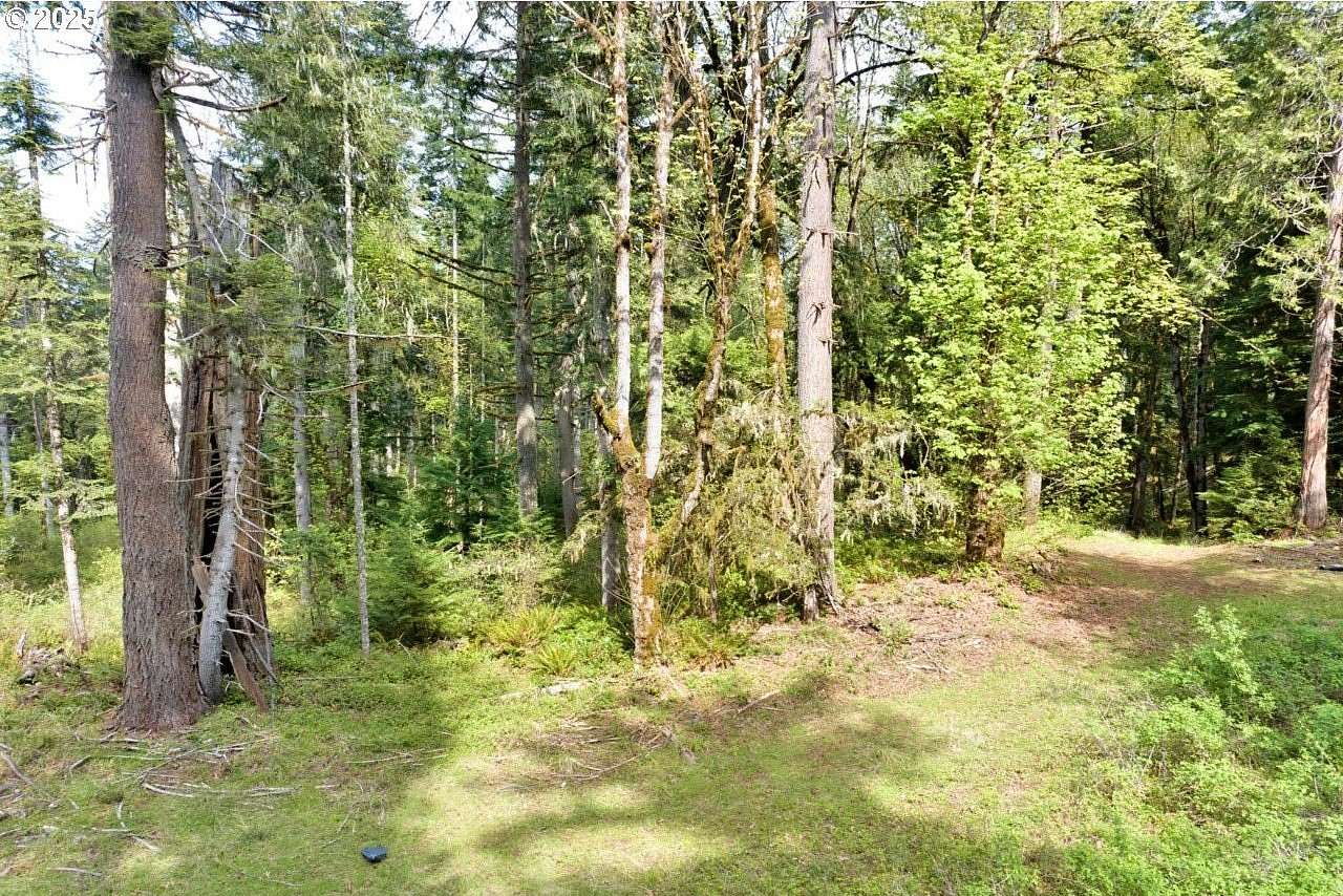 9.8 Acres of Residential Land for Sale in Springfield, Oregon