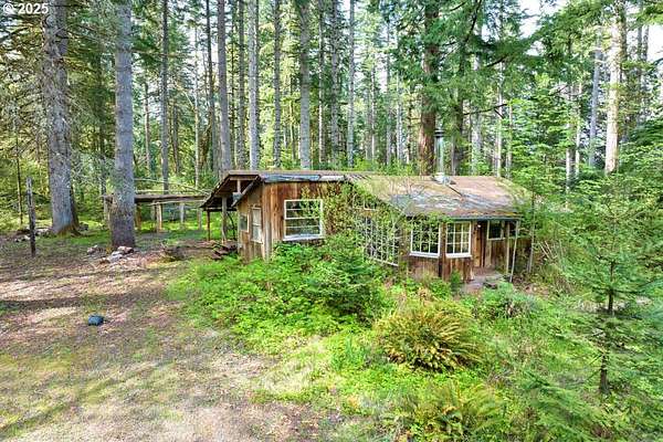 10 Acres of Recreational & Residential Land for Sale in Springfield, Oregon