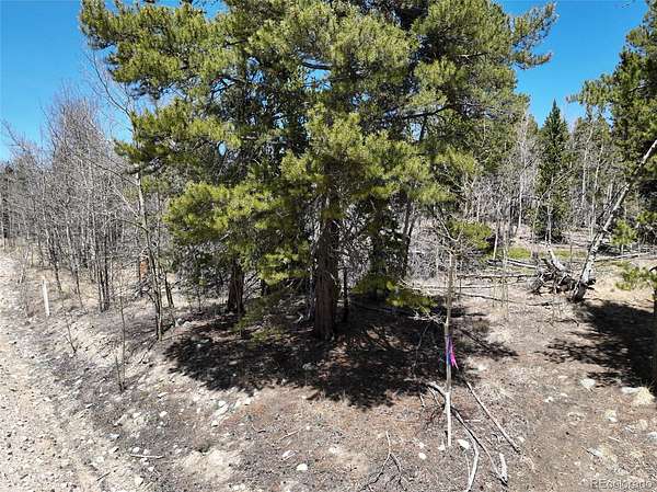 8.4 Acres of Residential Land for Sale in Fairplay, Colorado