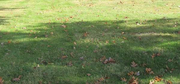 0.94 Acres of Residential Land for Sale in Burr Ridge, Illinois