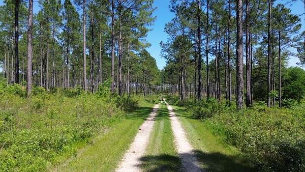 428 Acres of Recreational & Residential Land for Sale in Cairo, Georgia