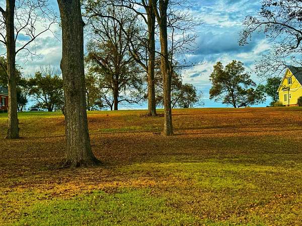0.61 Acres of Residential Land for Sale in Dundee, Mississippi