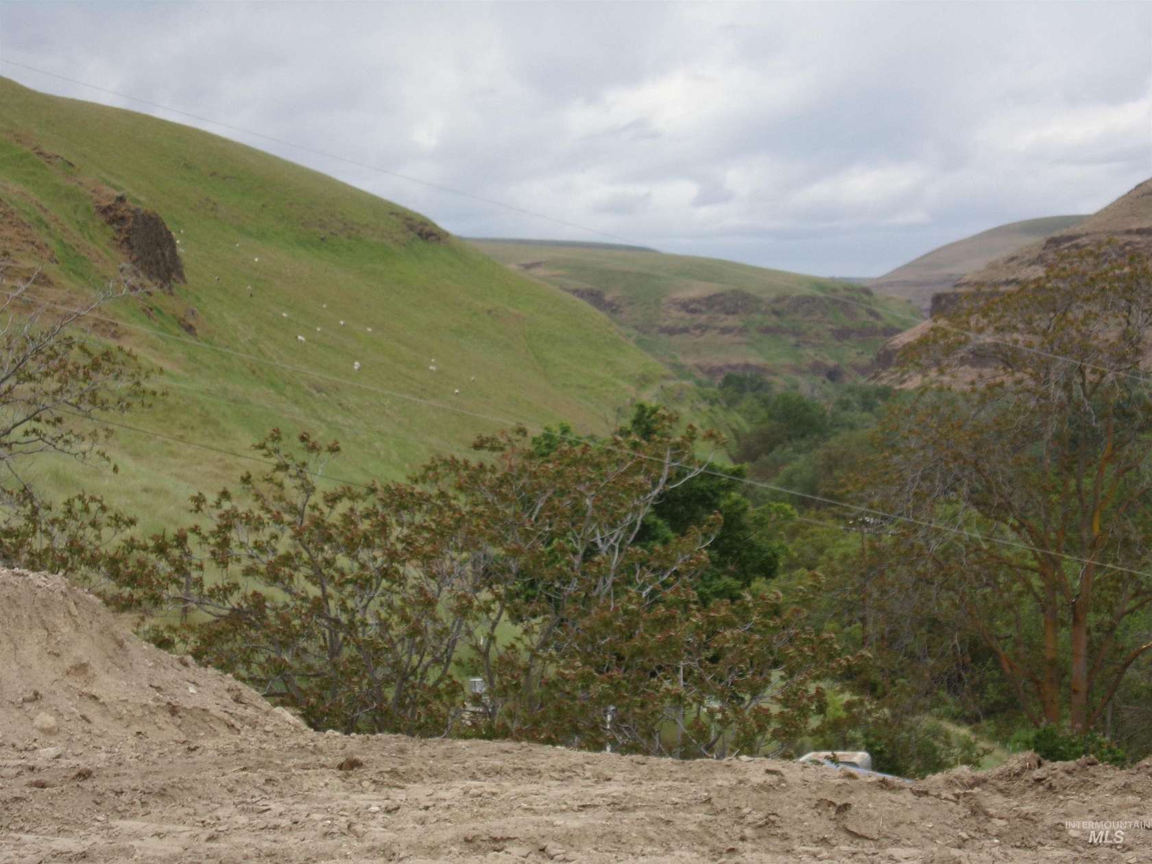 1.24 Acres of Residential Land for Sale in Asotin, Washington