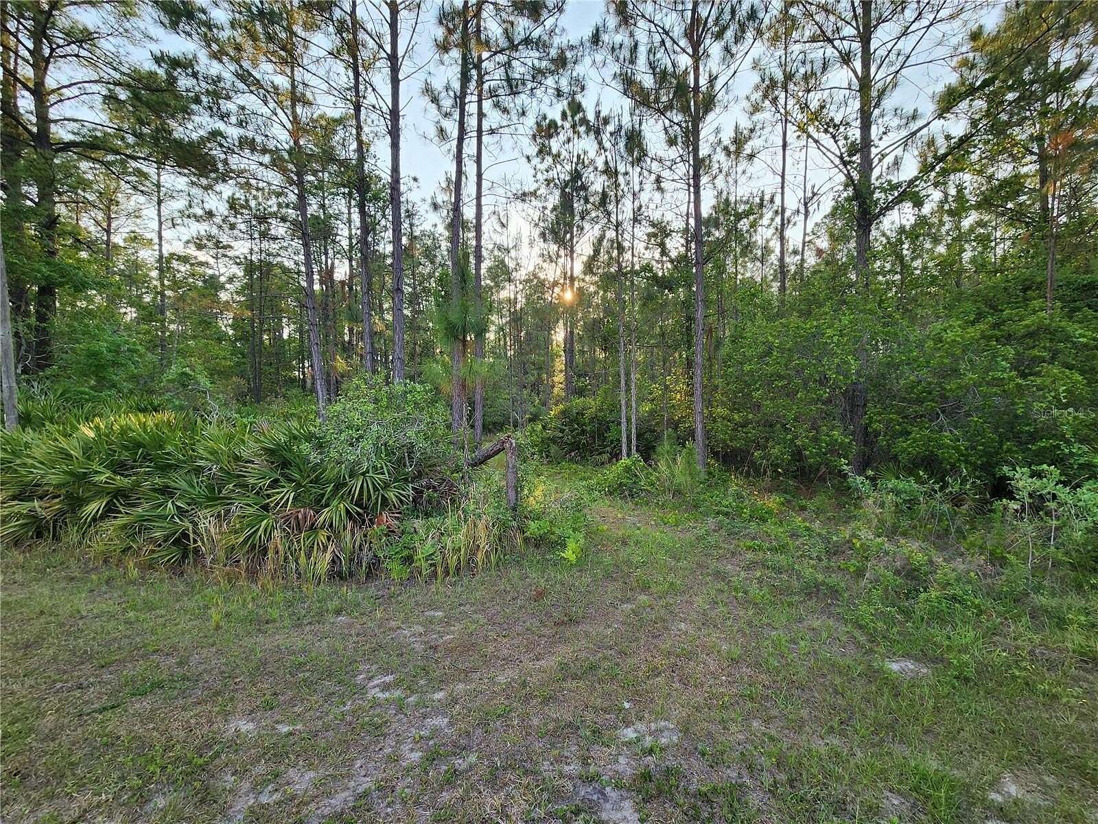 1 Acre of Residential Land for Sale in Eustis, Florida