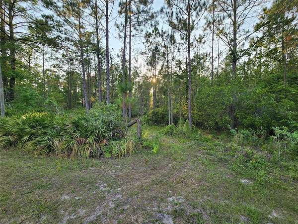 1 Acre of Residential Land for Sale in Eustis, Florida