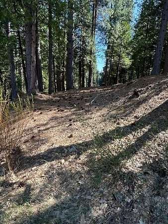 0.44 Acres of Residential Land for Sale in Dorrington, California
