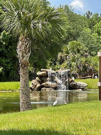 10 Acres of Land with Home for Sale in Steinhatchee, Florida