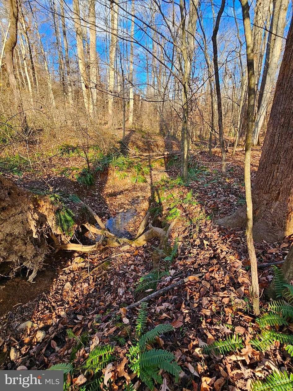 30.8 Acres of Recreational Land for Sale in Unionville, Virginia