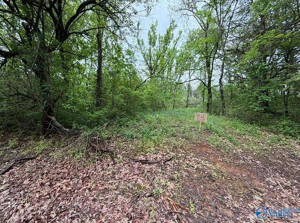 10 Acres of Residential Land for Sale in Moulton, Alabama