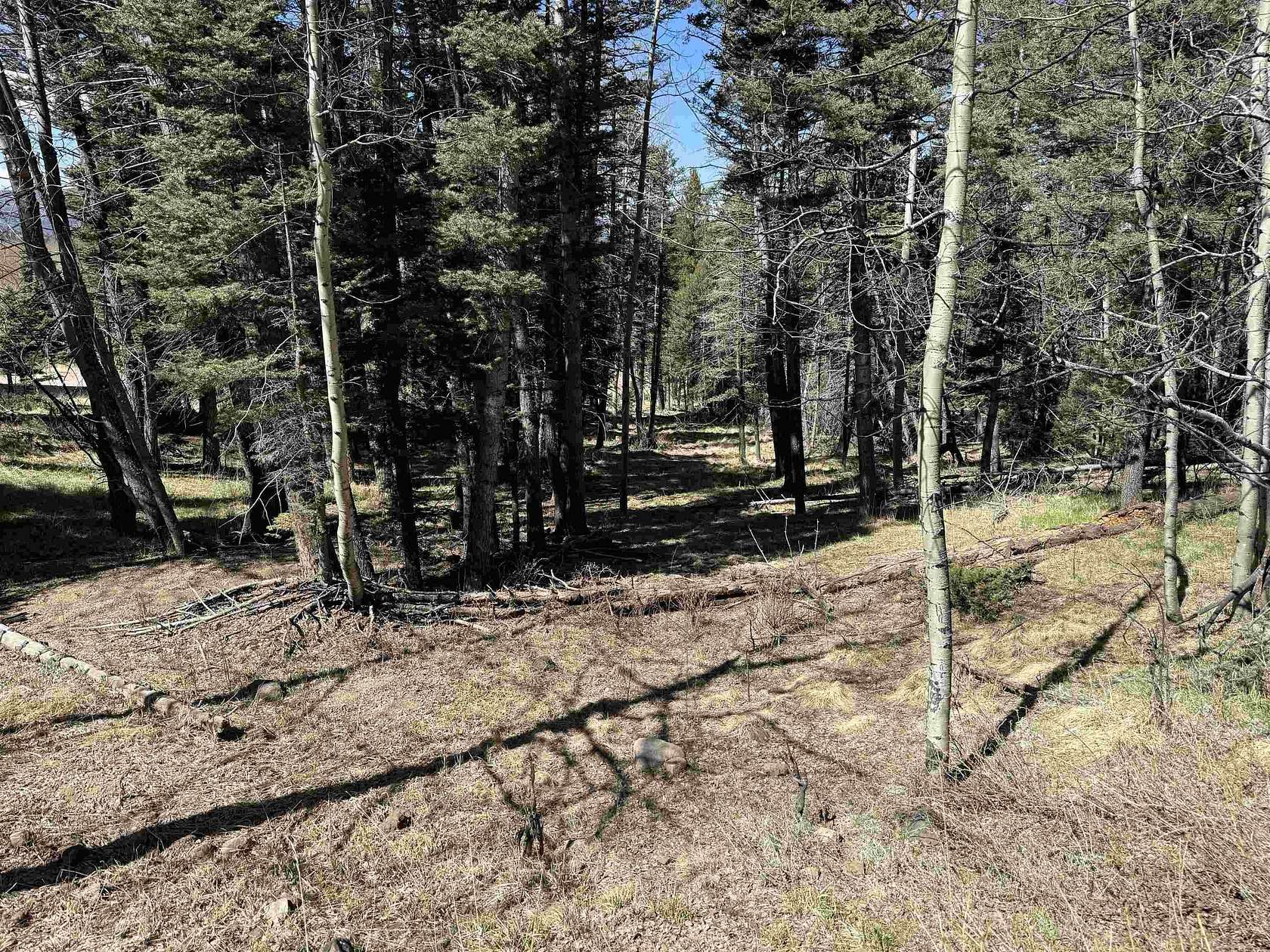 0.88 Acres of Land for Sale in Angel Fire, New Mexico