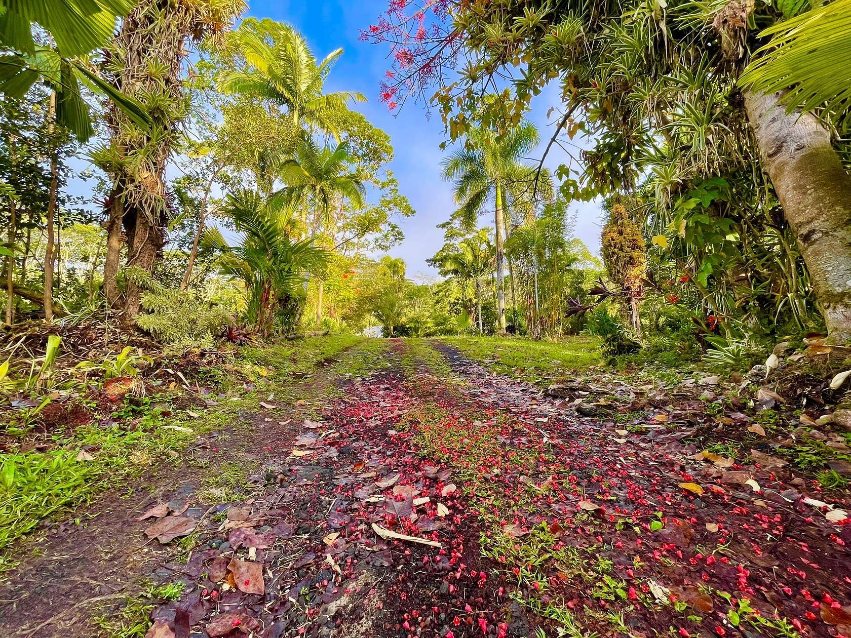 Zip Code 96778 Land for Sale - 518 Properties - LandSearch