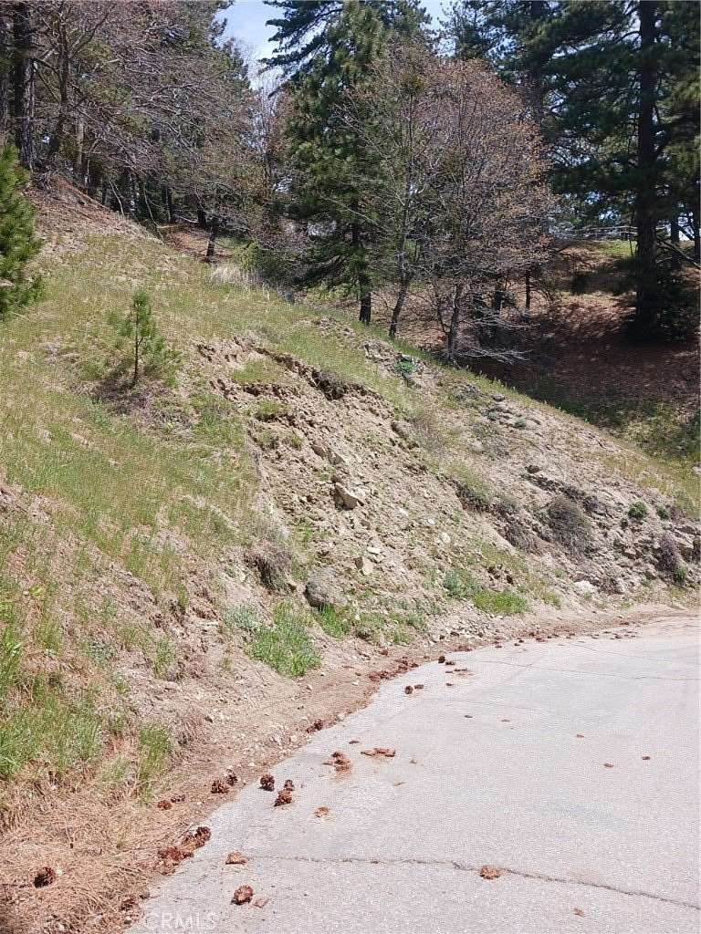 0.13 Acres of Land for Sale in Cedarpines Park, California