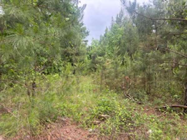 4.82 Acres of Land for Sale in Camden, Arkansas