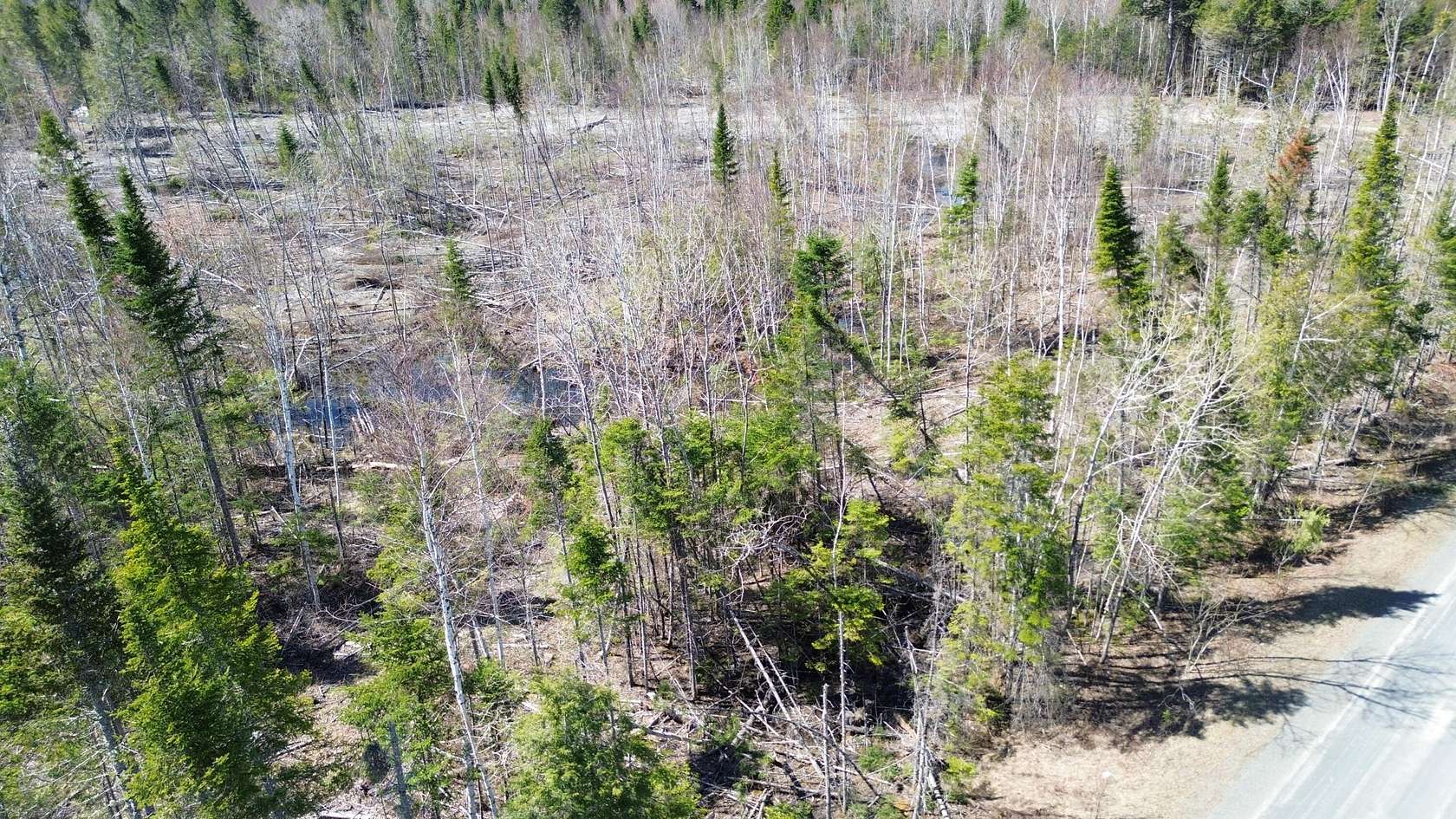 5.5 Acres of Residential Land for Sale in Houlton, Maine