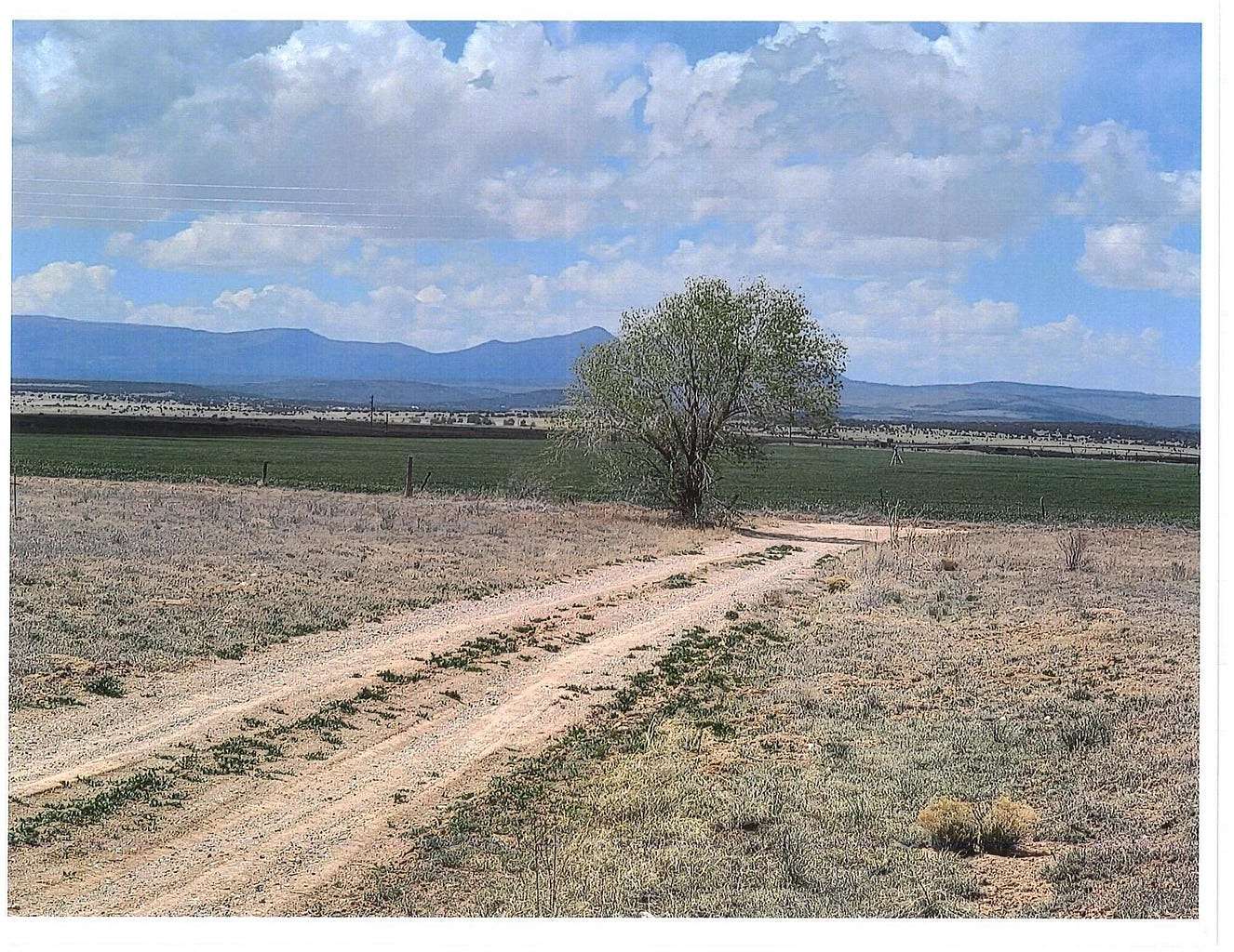 4.8 Acres of Agricultural Land for Sale in McIntosh, New Mexico