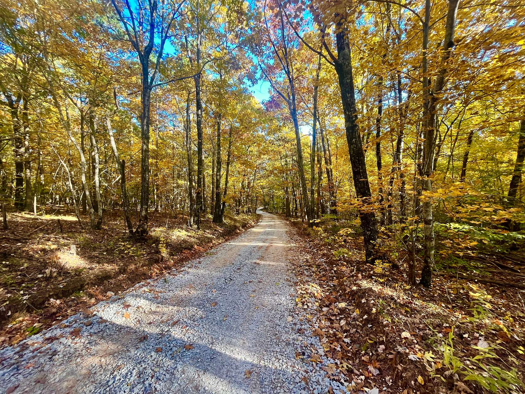 20 Acres of Recreational Land & Farm for Sale in Jasper, Arkansas