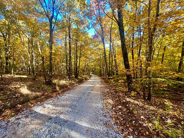 20 Acres of Recreational Land & Farm for Sale in Jasper, Arkansas