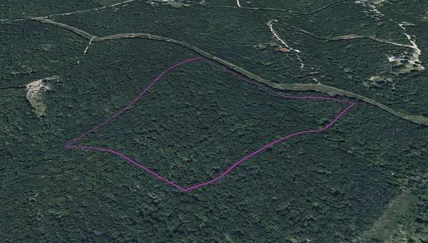 25.2 Acres of Recreational Land & Farm for Sale in Deepwater, Missouri