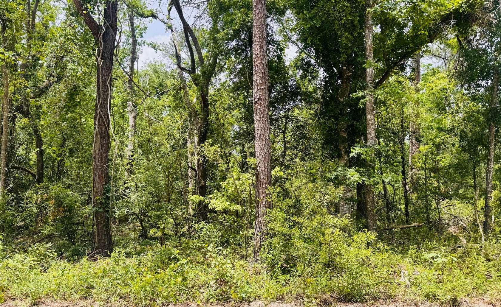 0.6 Acres of Land for Sale in Jasper, Florida