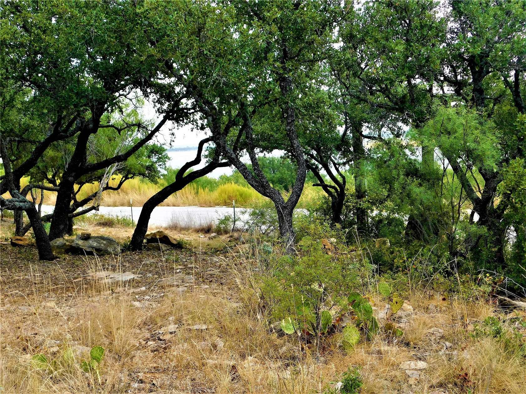0.44 Acres of Residential Land for Sale in Brownwood, Texas