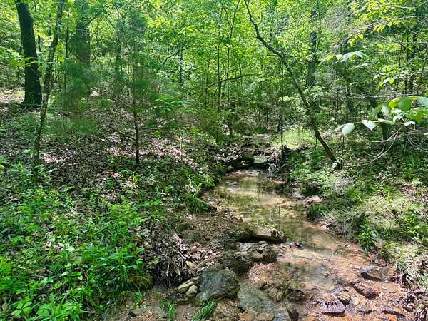 10 Acres of Recreational Land & Farm for Sale in Hardy, Arkansas