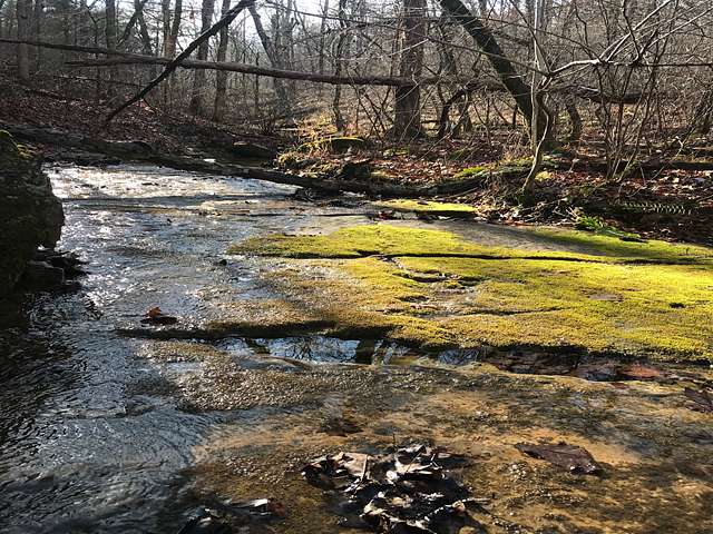 30.5 Acres of Recreational Land & Farm for Sale in Yellville, Arkansas