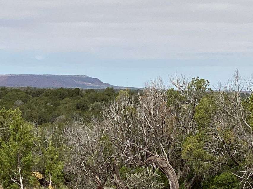 140 Acres of Land for Sale in Newkirk, New Mexico