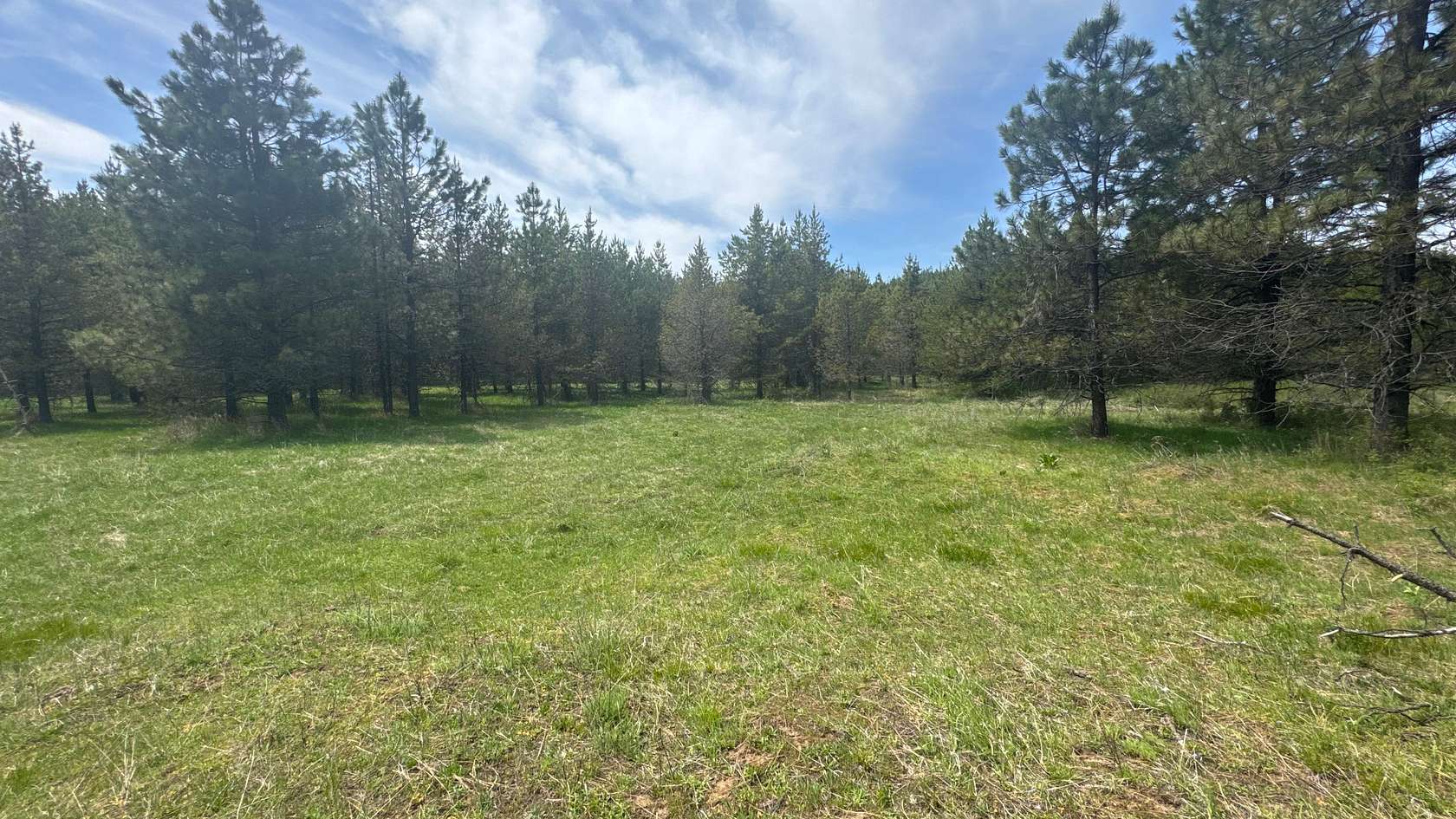 20.3 Acres of Land for Sale in Orofino, Idaho