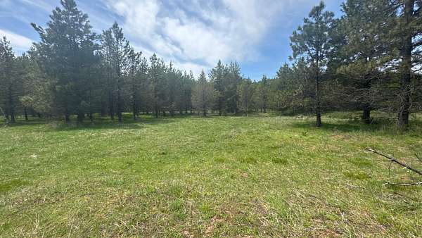 20.3 Acres of Land for Sale in Orofino, Idaho