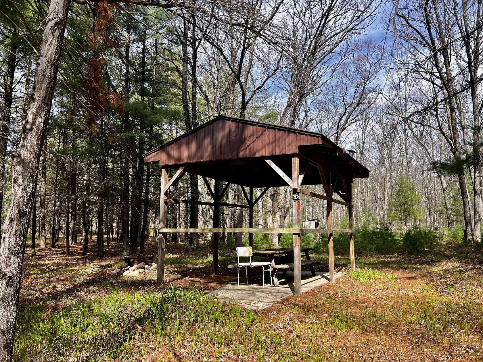 80 Acres of Recreational Land for Sale in Bitely, Michigan