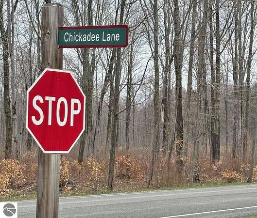 1.1 Acres of Residential Land for Sale in Thompsonville, Michigan