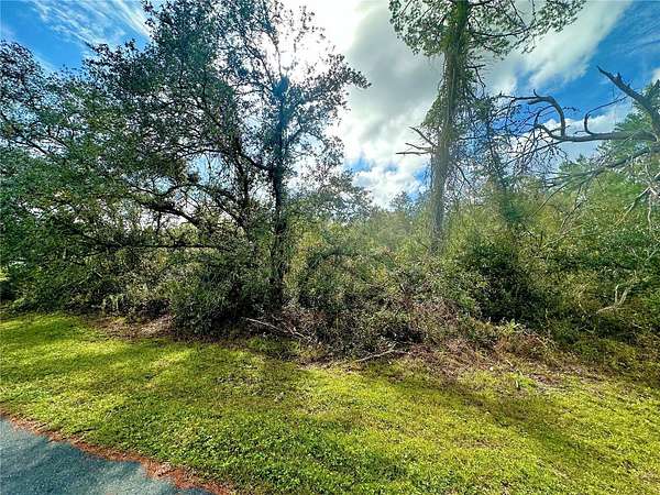 0.23 Acres of Residential Land for Sale in Ocala, Florida
