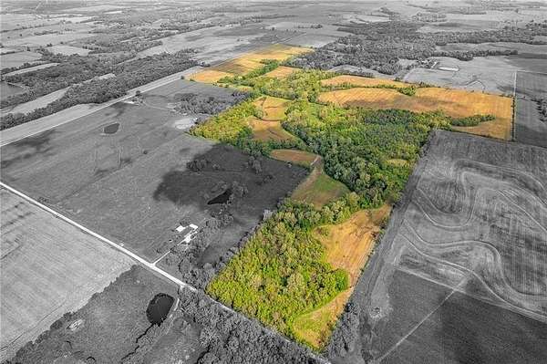 225 Acres of Land for Sale in Amsterdam, Missouri
